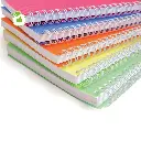cahiers-spirale-clairefontaine-linicolor-coloris-acidul-lot-10_475460.webp