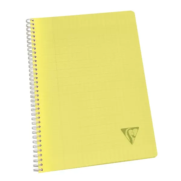 cahiers-spirale-clairefontaine-linicolor-coloris-acidul-lot-10_475460 (4).webp