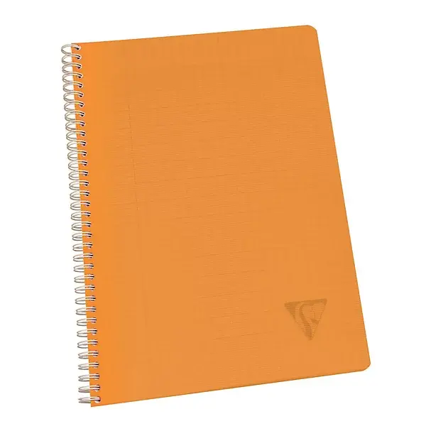 cahiers-spirale-clairefontaine-linicolor-coloris-acidul-lot-10_475460 (2).webp