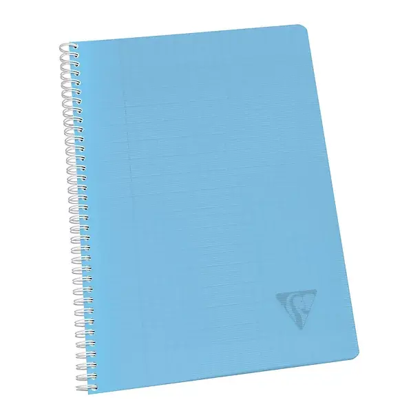cahiers-spirale-clairefontaine-linicolor-coloris-acidul-lot-10_475460 (3).webp