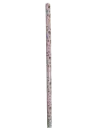 1000006557-removebg-preview.webp