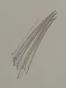1747315342226.webp